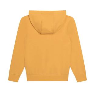 Sweat à Capuche Jaune Garçon Timberland T60077 vue 0