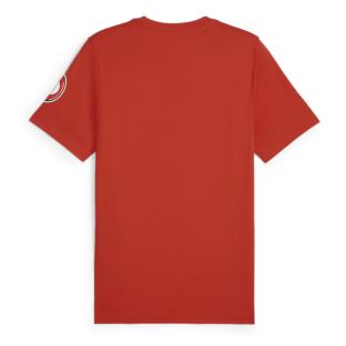 T-Shirt Rouge Homme Puma Afcon vue 0