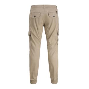 Pantalon Cargo Beige Homme Jack & Jones Warner 12167596 vue 2