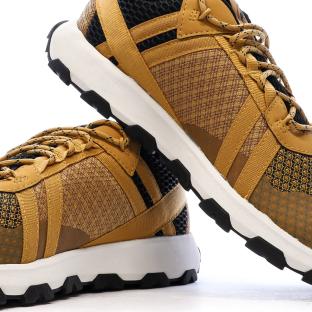 Chaussures de Trail Camel Homme Timberland Winsor Low vue 7