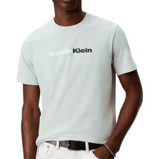 Hellgrünes Herren-T-Shirt von Calvin Klein Jeans, Größe 30s, EU, Großhandel Ansicht 0