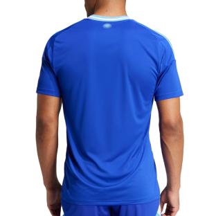 Argentine Maillot Réplica Extérieur Homme Adidas 2024 vue 2
