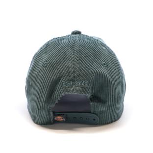 Casquette Bleu Homme Dickies Hardwick vue 3
