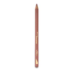 Crayon à Lèvres L'Oréal Paris Color Riche Liner N°236 vue 0