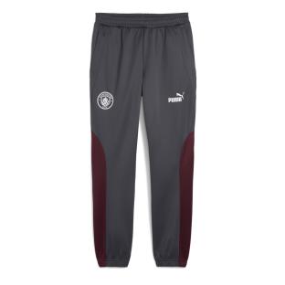 Manchester City Jogging Gris Homme Puma 2024/25 vue 0