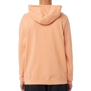 Sweat à Capuche Orange clair Homme Guess Roy vue 0