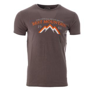 T-shirt Gris Homme Best Mountain 2004 pas cher