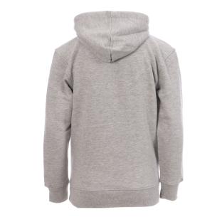 Sweat à Capuche Gris Garçon Redskins SW77422 vue 2