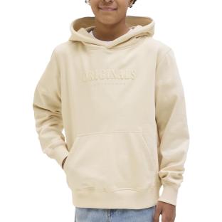 Sweat Beige Garçon Jack & Jones Jorfrederik 12274590 vue 2