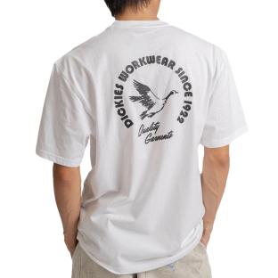 T-shirt Blanc Homme Dickies Goose vue 2