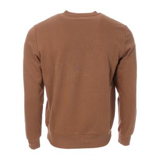 Sweat Marron Homme Diesel Felpas vue 2