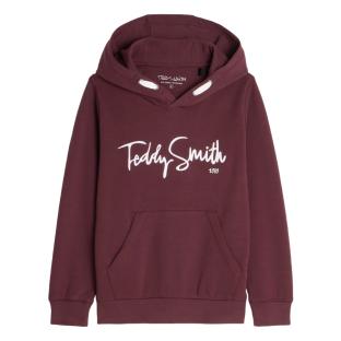 Sweat à Capuche Bordeaux Garçon Teddy Smith Evry1 vue 0