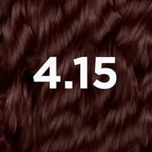 Coloration Enut Brwn Femme Garnier 4.15 vue 0