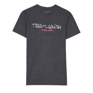 T-shirt Gris Homme Teddy Smith Ticlass Basic pas cher