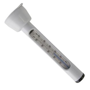 Thermometre De Piscine Intex pas cher