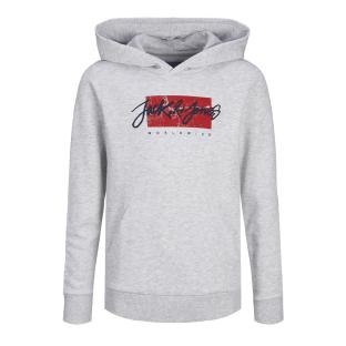 Sweat à Capuche Gris GarçonJack & Jones 12259861 pas cher