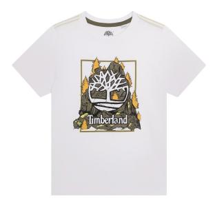 T-Shirt Blanc Garçon Timberland T60092 vue 0