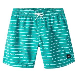 Short de bain Vert Garçon O'Neill All Year 14 vue 0