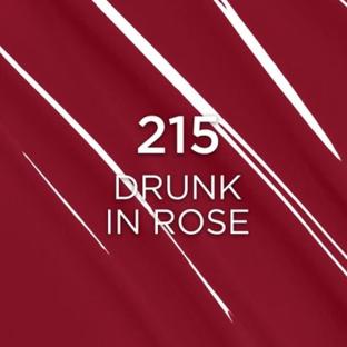 Rouge à Lèvres Liquide Mat Infaillible Lip Matte Resistance L'Oréal Paris 215 Drunk in rose vue 0