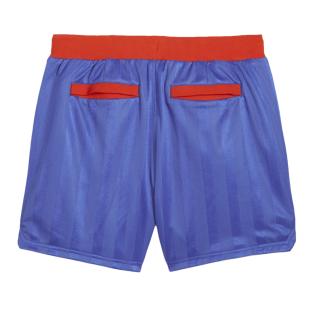 Short Bleu Homme Puma Fantasy vue 2