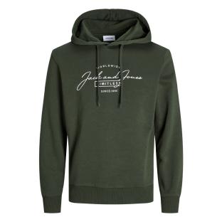 Sweat Vert Foncé Homme Jack & Jones Ferris vue 3