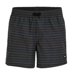 Maillot de bain Gris Foncé O'Neill Scallop vue 0