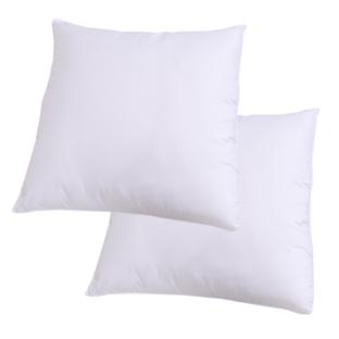 X2 Oreillers Blanc Dodo Lot 2 Confort 60x60 vue 0