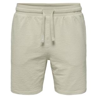 Beige Herren-Shorts Only & Sons Onskian Life Straight Ansicht 0