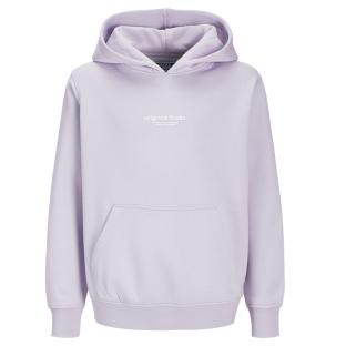 Sweat Mauve Garçon Jack & Jones Vesterbro 12256770 pas cher