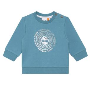 Sweat Bleu Garçon Timberland T60008 vue 0