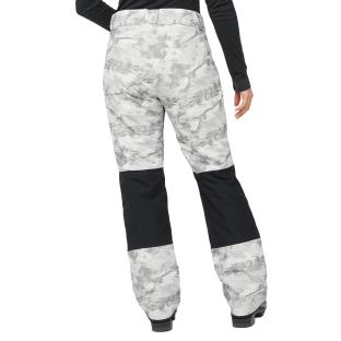 Pantalon de ski Gris/Noir Femme Salomon Bashley vue 0