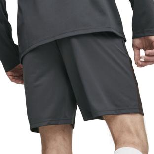 Manchester City Short Gris Foncé Homme Puma 2023/24 vue 2