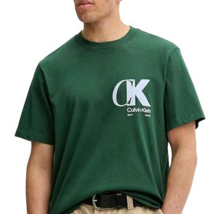 T-shirt Vert Homme Calvin Klein Jeans Ss 20s Eu vue 0
