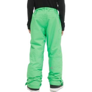 Pantalon de ski Vert Garçon O'Neill Hammer Pants vue 2