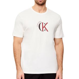 T-Shirt Blanc Homme Calvin Klein Jeans LV14RE829G vue 0