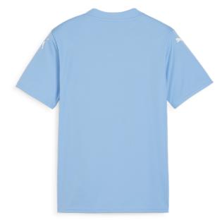 Maillot de football Bleu Garçon Puma Teamglory Jersey Jr vue 0