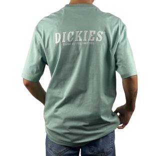 T-shirt Vert Homme Dickies Script Blue Surf vue 2