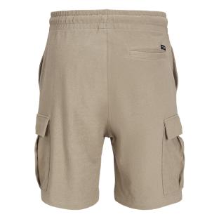 Short Cargo Beige foncé Homme Jack & Jones Gordon vue 2