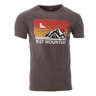 T-shirt Gris Homme Best Mountain 2006 pas cher