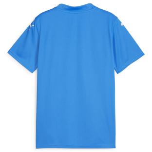 Maillot de football Bleu Turquoise Garçon Puma Teamglory Jersey Jr vue 0