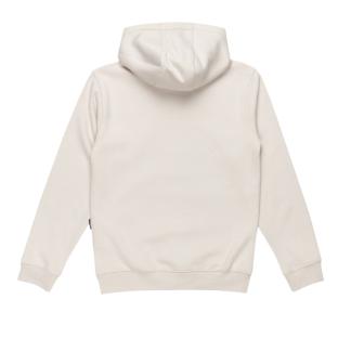Sweat à Capuche Gris Garçon Quiksilver Big logo vue 2