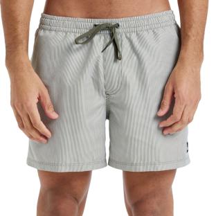 Short de bain Kaki Homme Quiksilver Deluxe 15 pas cher