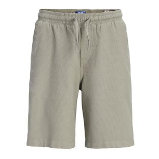 Short Vert Garçon Jack & Jones Jpstjaiden vue 0
