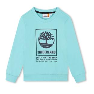 Sweat Bleu Garçon Timberland T60075 vue 0