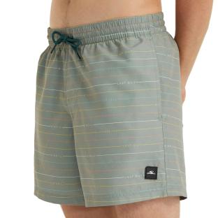 Maillot de bain Vert O'Neill Scallops vue 0