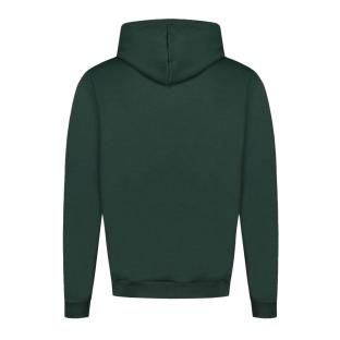 Sweat Vert Homme Le Coq Sportif Contemporain Sp Hoody N°1 vue 2