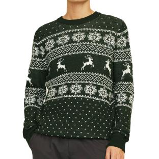 Pull de Noel Vert Homme Jack & Jones Xmas Gabriel vue 0