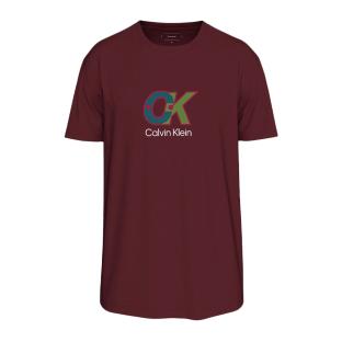 T-Shirt Rouge Homme Calvin Klein Jeans LV04RD821G vue 0