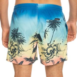 Maillot de bain Bleu Homme Quiksilver Paradise 15 Jamv vue 0