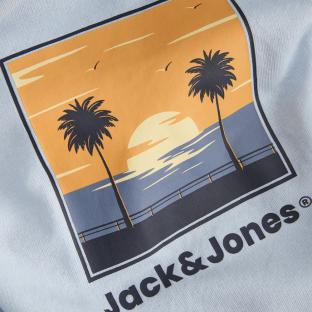 Sweat Bleu Clair Garçon Jack and Jones Hood vue 0